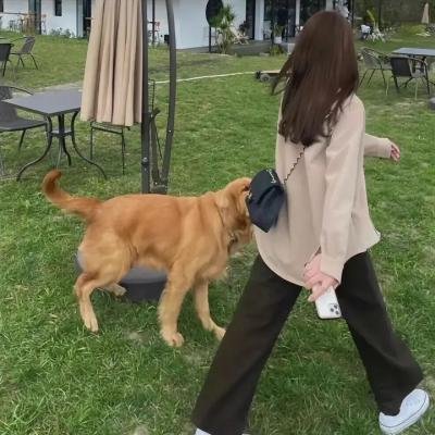 虚拟世界的诱惑