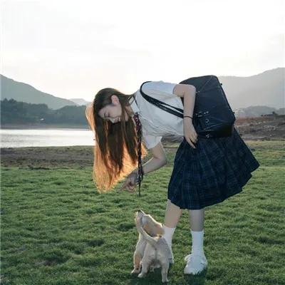 动物行为